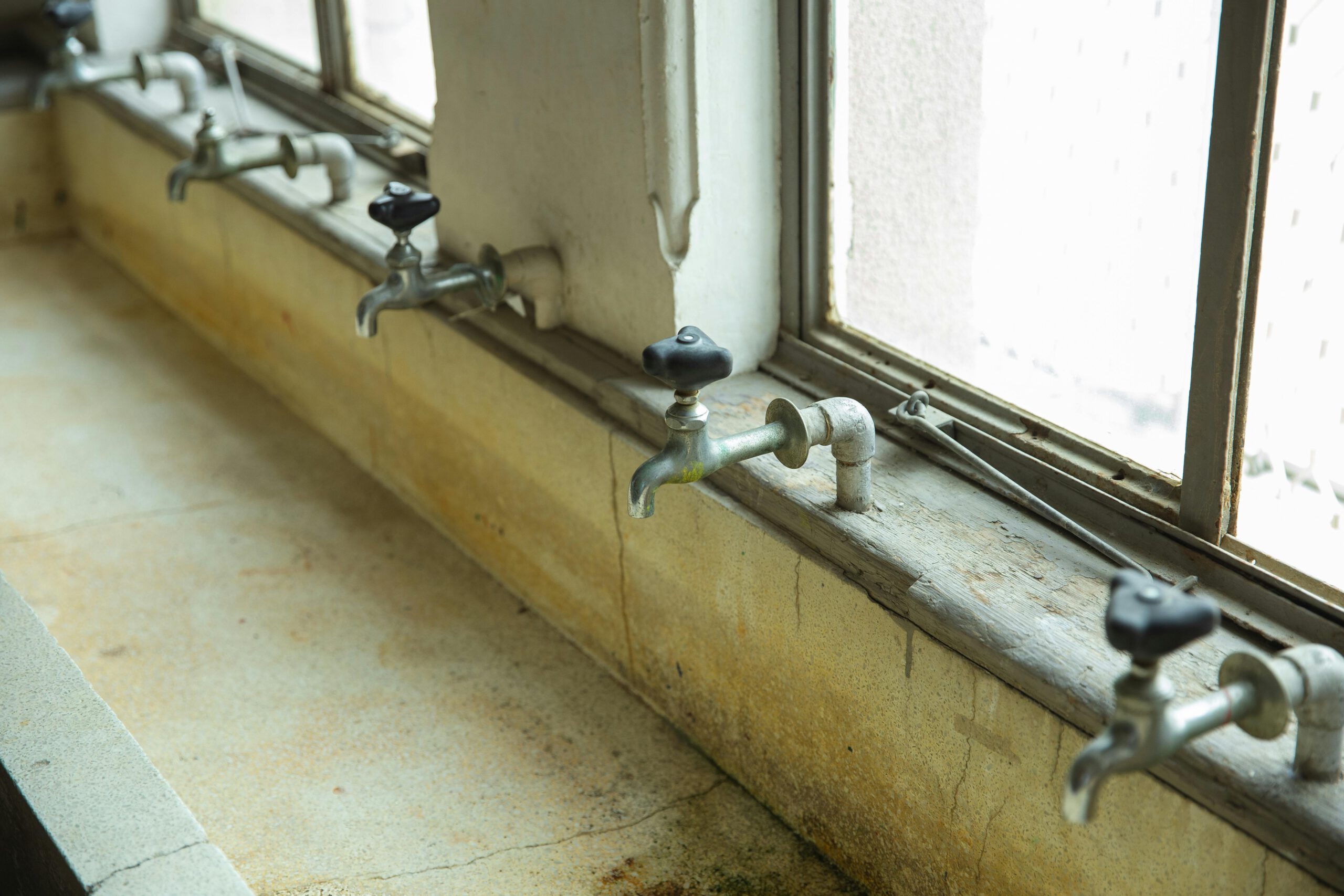 Ace Mold Introduces Advanced Mold Testing Services in NYC to Ensure Healthier Living Environments