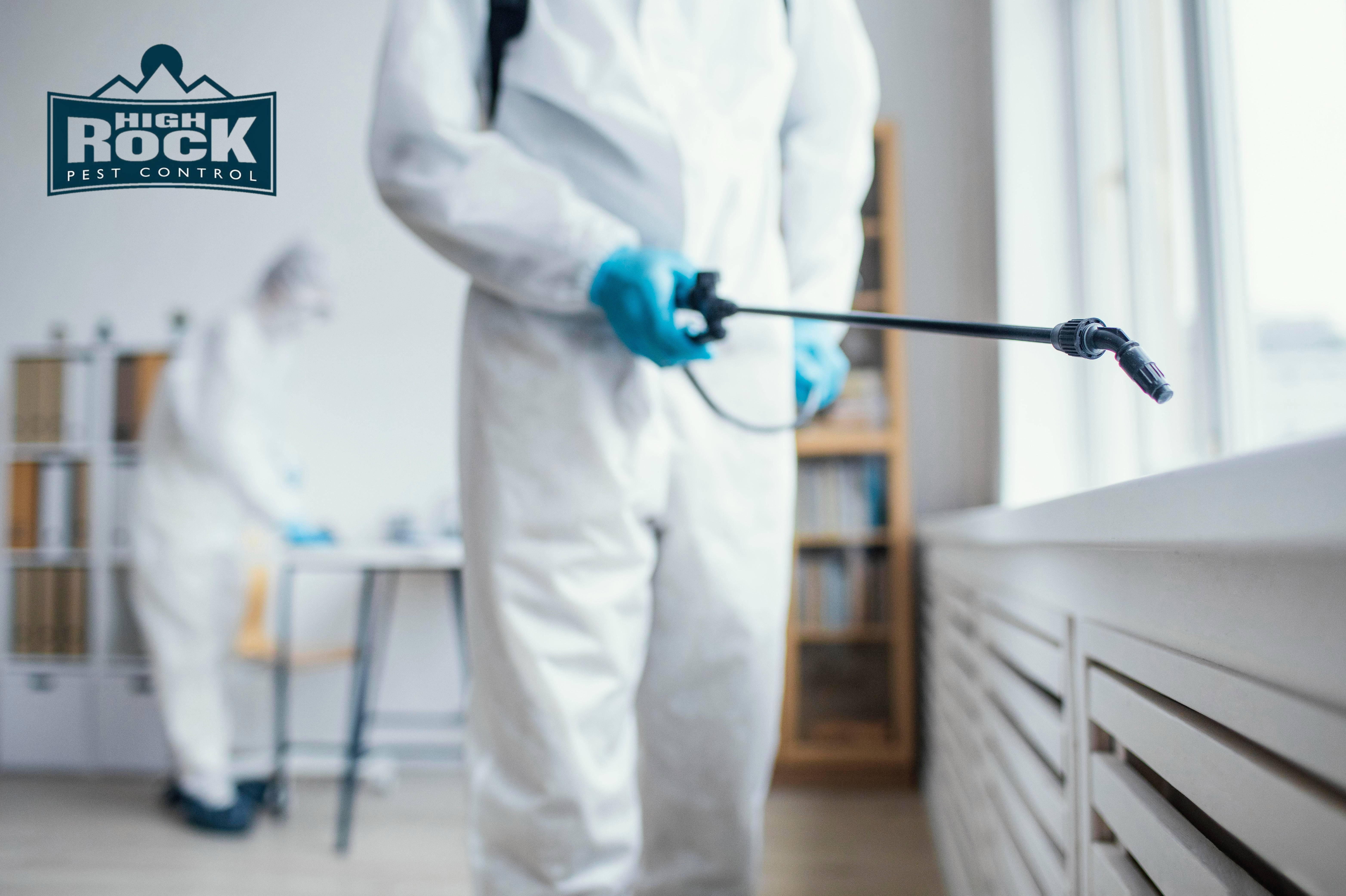 How to Choose the Best Exterminator in Cleveland for Your Pest Problem