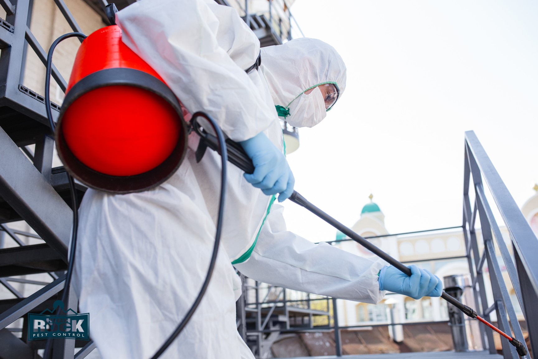 The Importance of Hiring Local Exterminators for Your Cleveland, Ohio Home